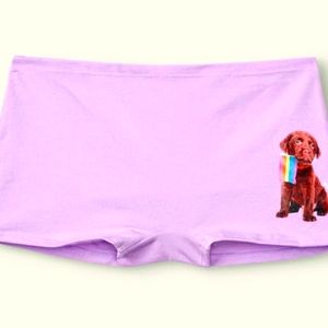 VS PINK PURPLE PRIDE PUPPY PANTIES SHORTS